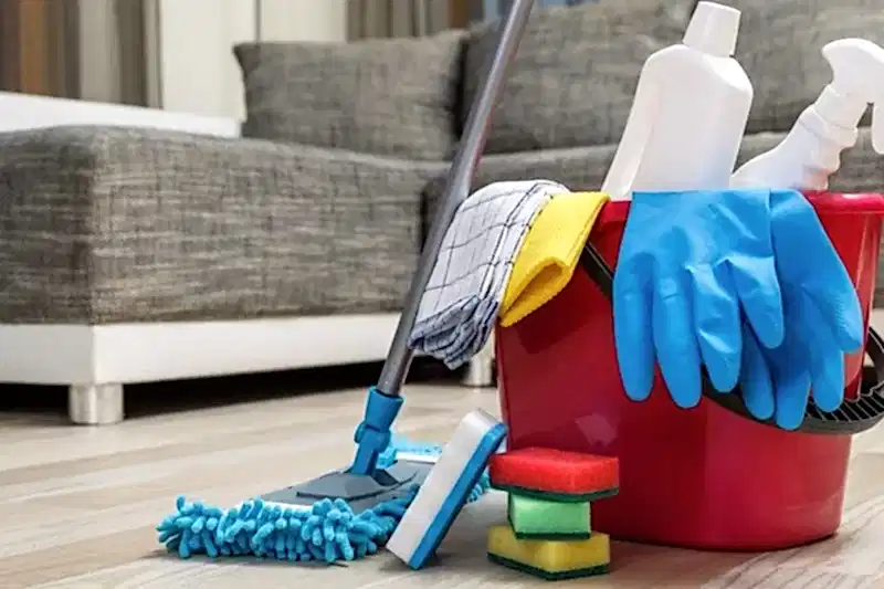 Ev Temizliği